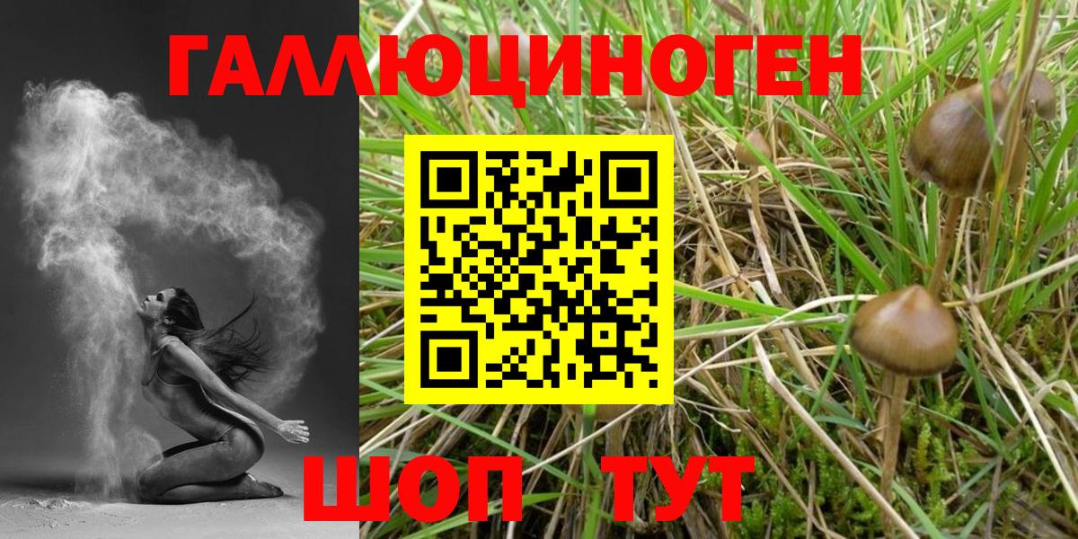 купить  цена  Псилоцибиновые грибы прущие грибы  Вход с VPN  Электрогорск  Галлюциногенные грибы Psilocybine cubensis 